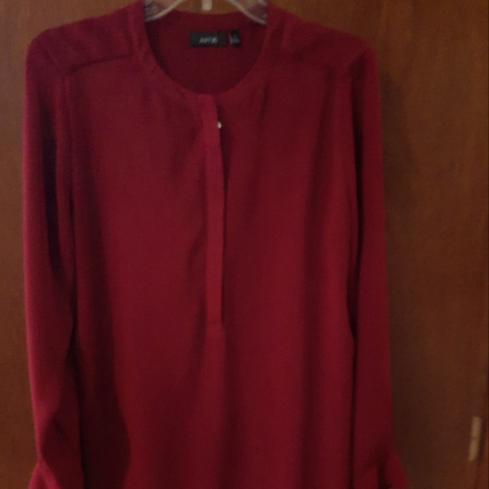 Brick Red Blouse